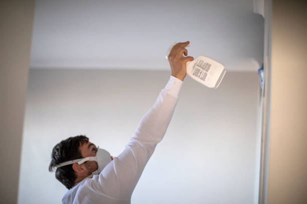 Best Mold Testing  in South Hutchinson, KS