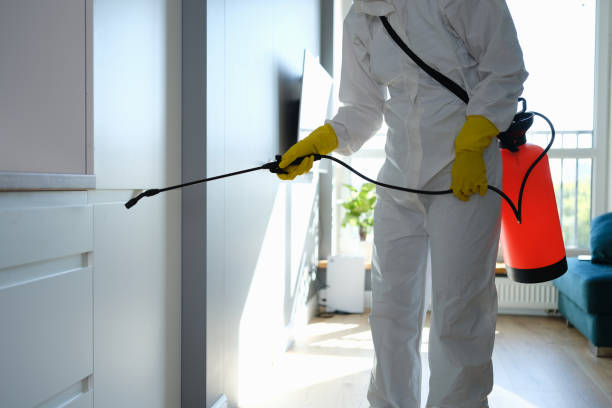 Best Mold Cleaning Services  in South Hutchinson, KS