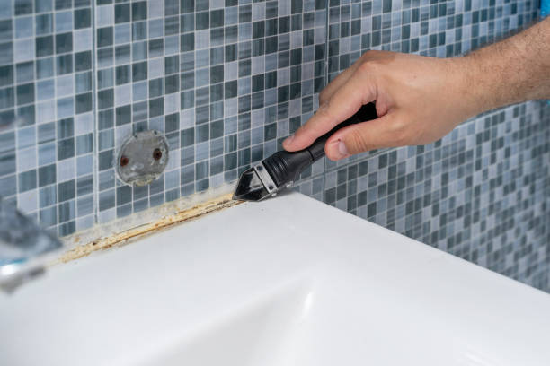 Best Best Mold Removal Companies  in South Hutchinson, KS